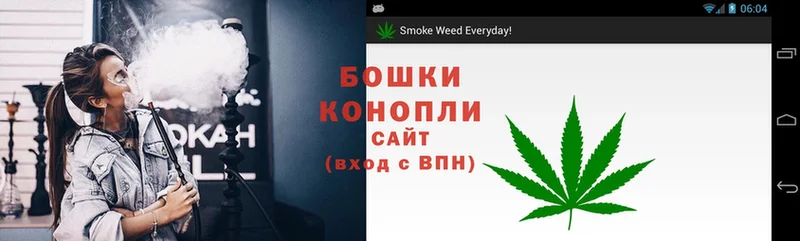 Канабис Ganja  Шагонар 